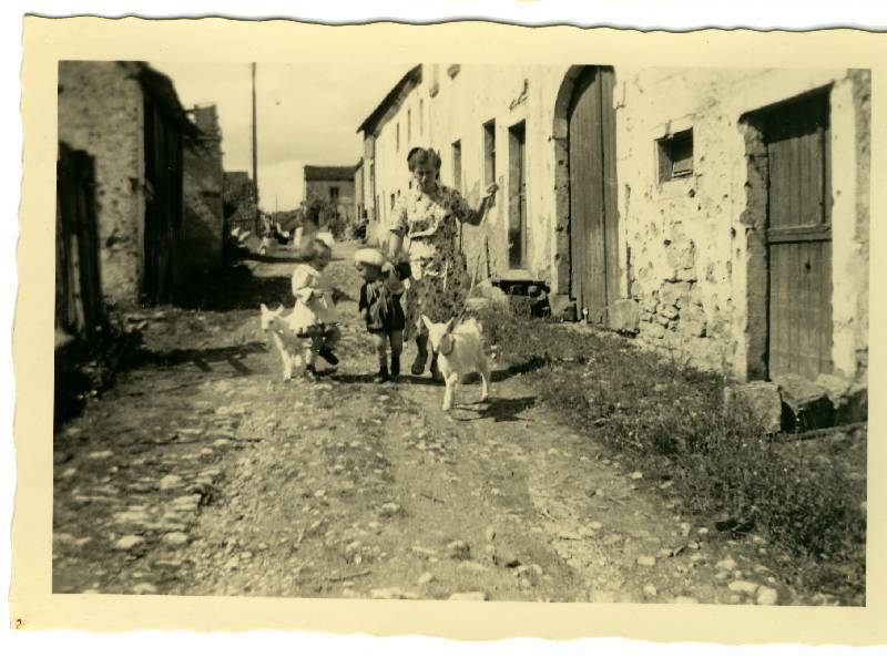 50er Jahre Bild Nr.105